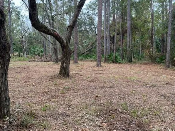 TBD SW 291st Ave, Steinhatchee, FL 32359