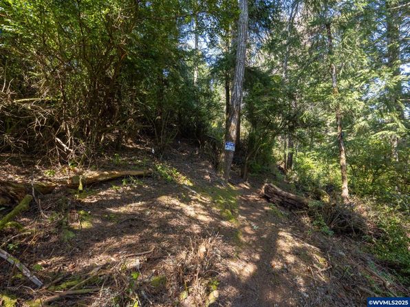 2506 NW Mokmak Lake Dr, Waldport, OR 97394