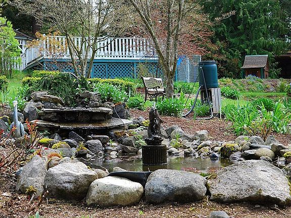 Pond