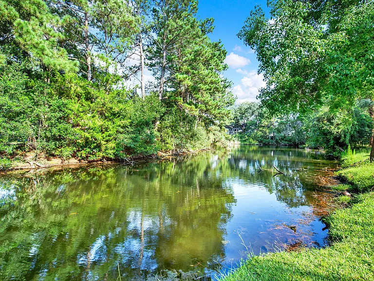 Backyard Creek