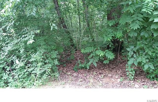 2nd image of 145 Saxony Woods Dr