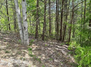 1430 Mountain Dreams Way #9, Sevierville, TN 37862