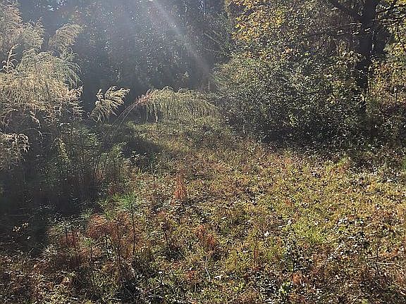 2nd image of 4638 Lee Road 179