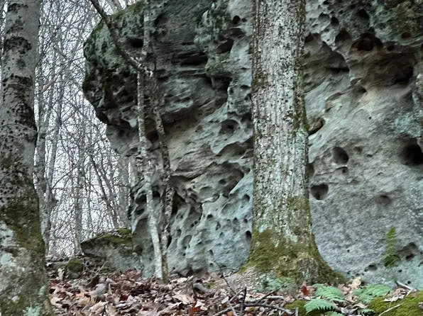 5636 S Greenbrier Rd, Richwood, WV 26261