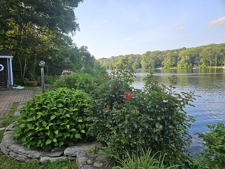 View from waterfront