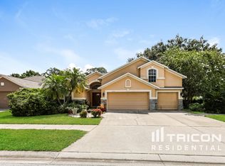 2964 Hickory Grove Dr, Valrico, FL 33596