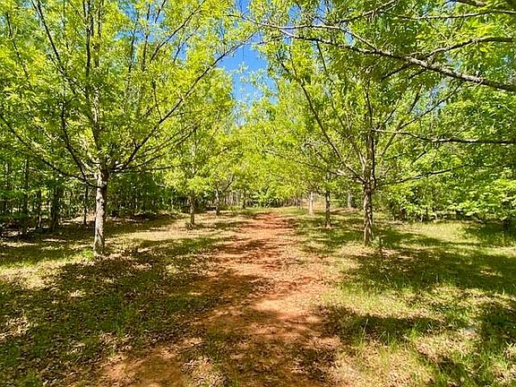 2nd image of 0 Pete Johnson Rd