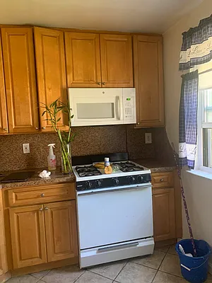 Rented by Queens Apartments Realty LLC | media 30