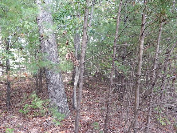 5th image of 91 Hanning Dr