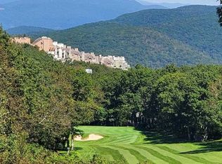 927 Devils Knob Loop, Wintergreen Resort, VA 22967