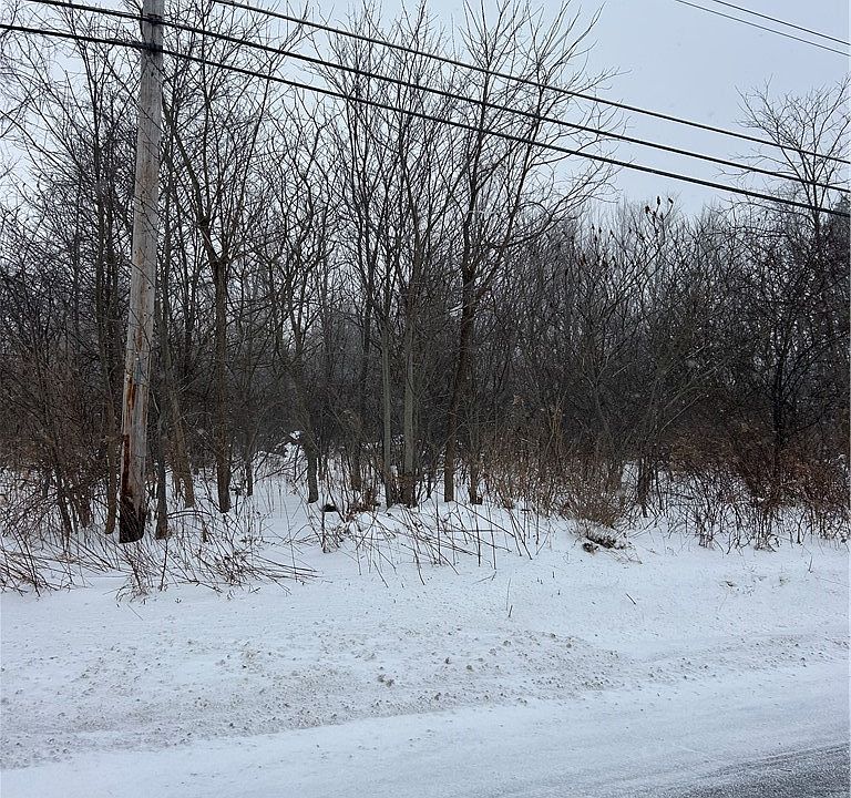 2nd image of V/l Leroy Center Rd