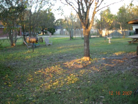 back yard 15000 sq feet