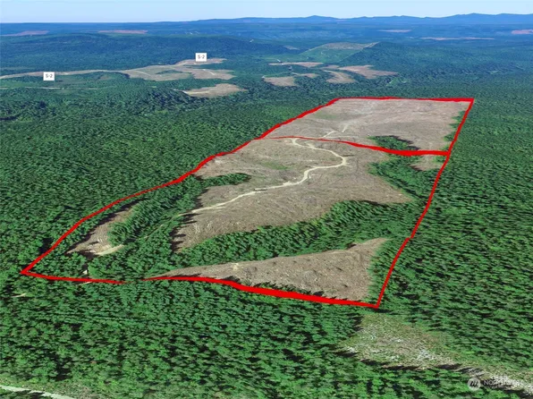 100 Forest Service 1.2, Moclips, WA 98587