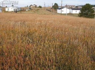 351 Doublet Ln, Divide, CO 80814