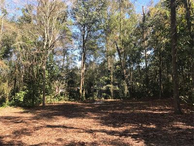 County Road 656 #52, Webster, FL, 33597
