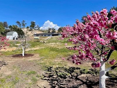 28195 Valley Center Rd, Valley Center, CA, 92082