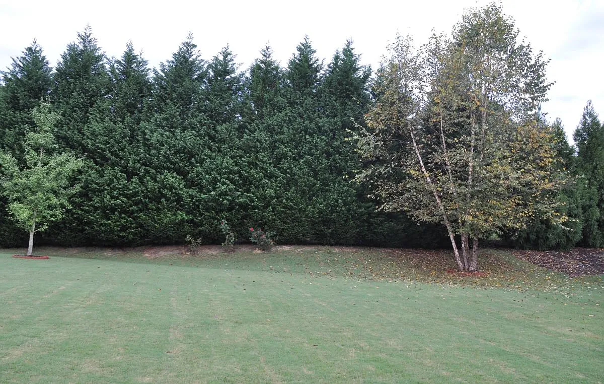 2940 Majors Farm Court — Photo 4
