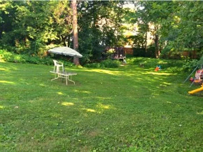 shared yard