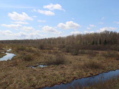 Off North Road Acres #92, Butternut, WI, 54514