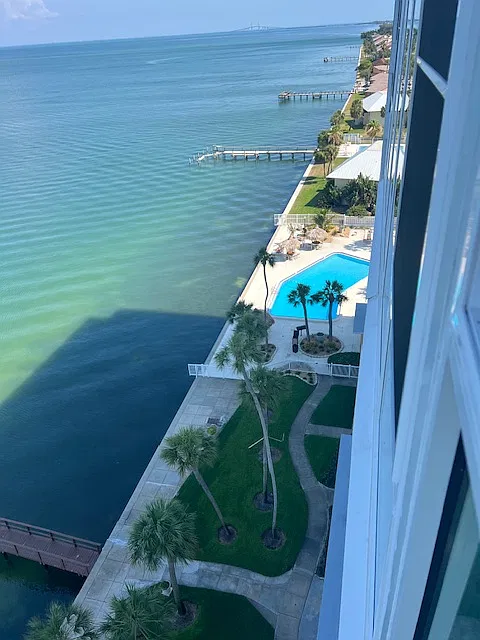 1 bed, 900 sqft, $3,500 — Photo 2