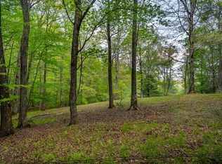 3-4 Scouts Overlook Ln, Morganton, GA 30560
