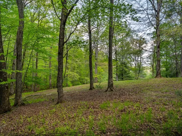 3-4 Scouts Overlook Ln, Morganton, GA 30560