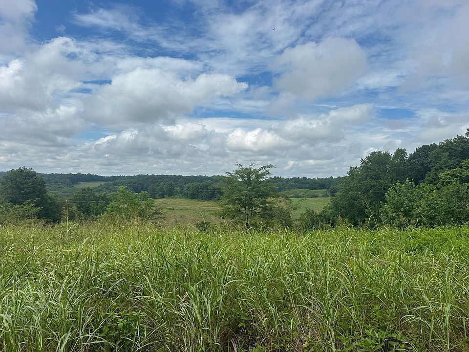 2nd image of 5A Young Hollow Rd