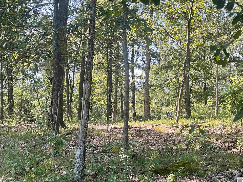 0 State Route 1748 E, Wingo, KY 42088 Zillow