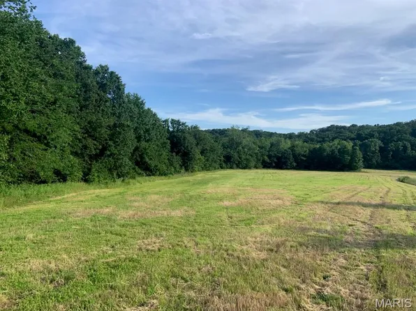 8 Sydney Rd, Hannibal, MO 63401