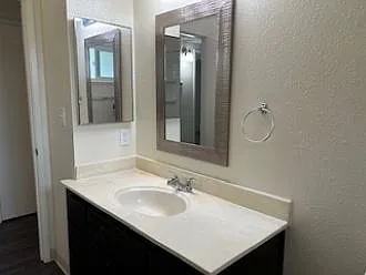 Main bath vanity with designer mirror and medicine cabinet