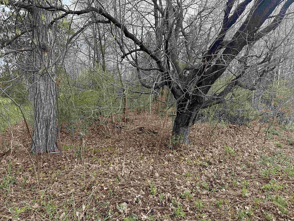 1st image of 1 acre MOL MERRILL AVENUE