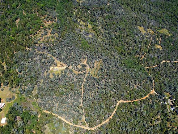 3rd image of Ponderosa Way