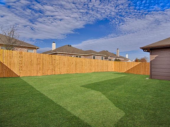 Back Yard 02
