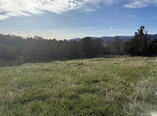 14495 N Scott Loop #23, Collbran, CO 81624