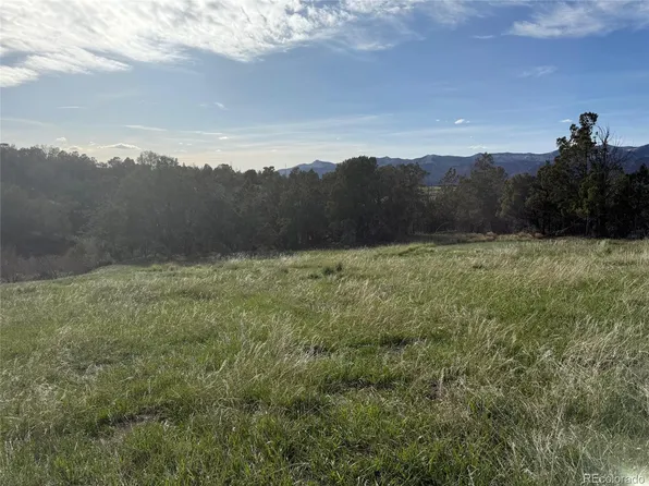 14495 N Scott Loop LOT 23, Collbran, CO 81624