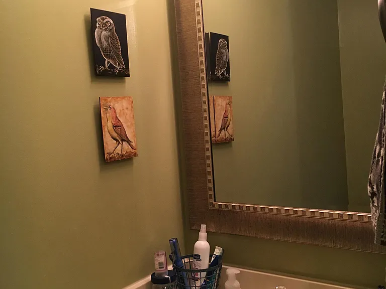 Half Bath main