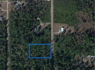 10345 Weatherby Ave, Hastings, FL 32145