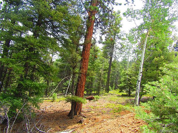 4th image of Lot 6028 Spruce Roads