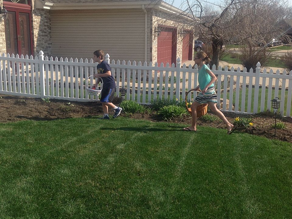 Nice size yard
