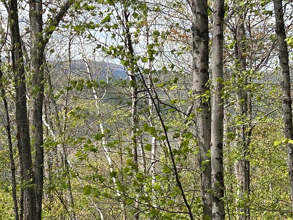 5th image of 188 Rattlesnake Mountain Road