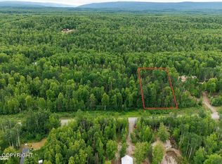 20150 E Notherstrike Ave, Talkeetna, AK 99676