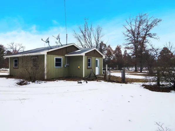 9667 E County Line Rd, Fife Lake, MI 49633