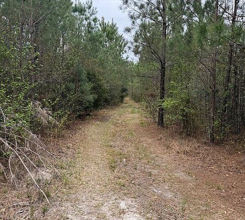 4th image of 001 RACE PATH