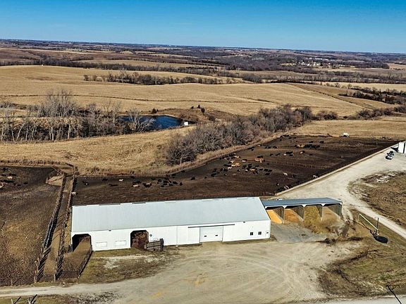 Ringgold County Farmland For Sale 7 