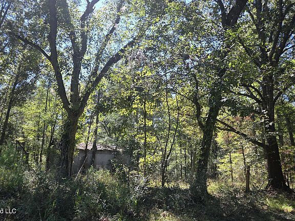 2nd image of 0 Bill Strong Rd