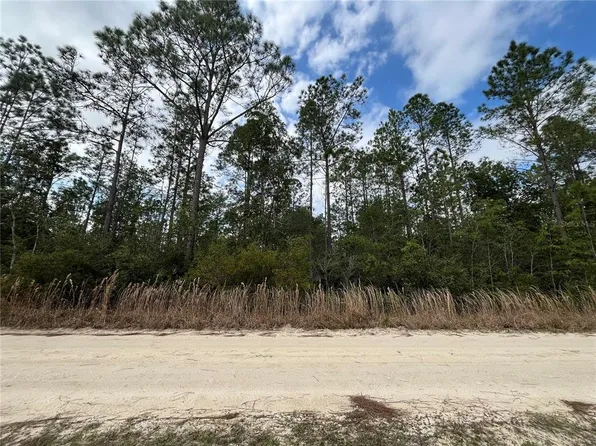 215 Royal Ave #20, Interlachen, FL 32148