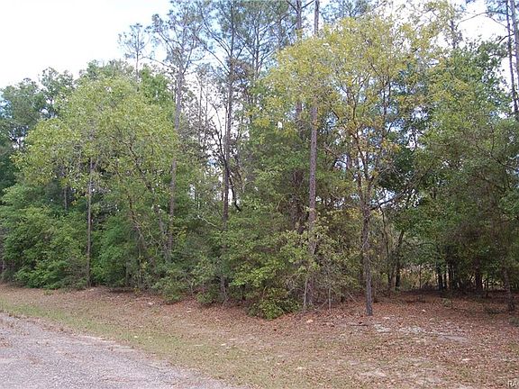 2nd image of 8929 N Bengal Way