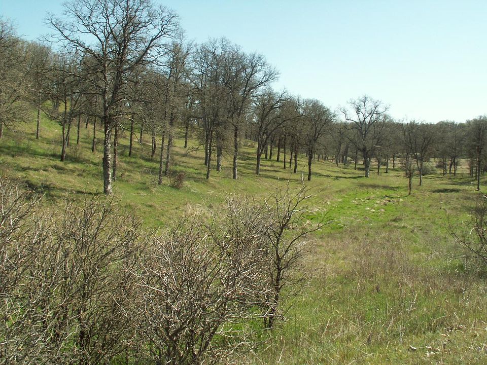 2nd image of 18763 Saddleback Ridge Loop