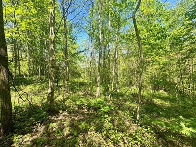 14 Walnut Cove Rdg, Bryson City, NC, 28713