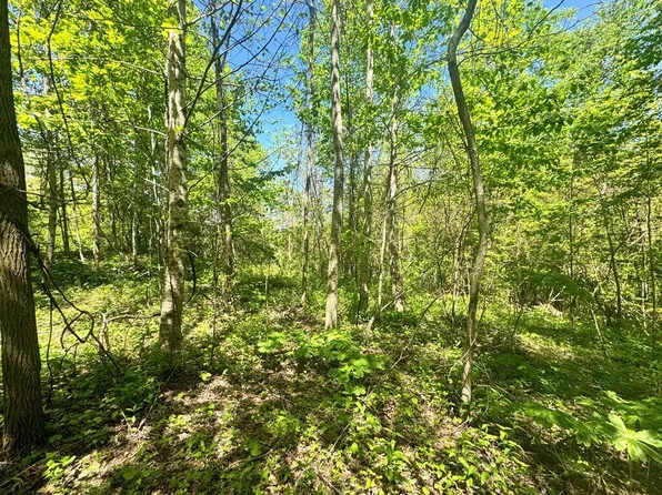 14 Walnut Cove Rdg, Bryson City, NC 28713